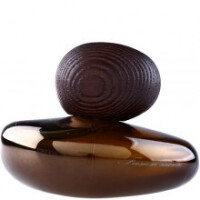 Fusion Sacree Obscur-ماجدا بکالی فیوشن ساکری ابسکیور