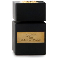 Gumin-تیزیانا ترنزی گامین