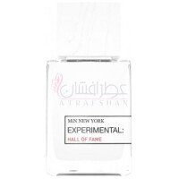 Hall of Fame-مین نیویورک هال اف فیم