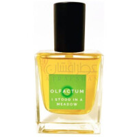 I Stood In A Meadow-الفکتوم 1 استود این د میدو