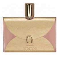 Icon-اگنر ایکون