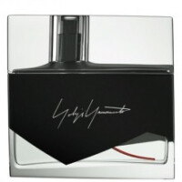 I'm Not Going to Disturb You Femme-یوجی یاماموتو آی ام نات گواینگ تو دیستورب یو فمه