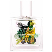 Into The Wild-میسون ماتین اینتو د وایلد