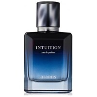 Intuition-آرامیس اینتوشن