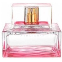 Island Bermuda-مایکل کورس ایلند برمودا