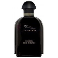 Jaguar For Men Gold in Black-جگوار فور من گلد این بلک