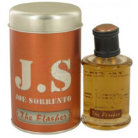 Joe Sorrento The Flasher-جین آرتس جوی سورنتو د فلشر