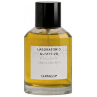 Kashnoir-لابوراتوریو الفکتیوو کش نویر