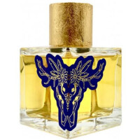 Kocha Nights-جیپسی اسوری کوچا نایتس