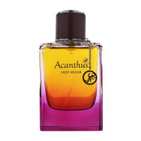 Lady Moor-آکانتوس لیدی مور