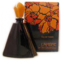 L'Ambre de Tan Giudicelli-تان جودیچلی له امبر دی تن جودیچلی