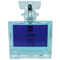 Lavanda-تراگونیا لاواندا