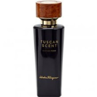 Leather Rose-سالواتوره فراگامو لیدر رز