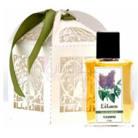 Lilacs-فلوریج لیلاکس