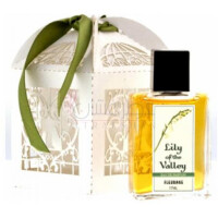 Lily of the Valley-فلوریج لیلی اف د ولی