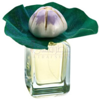 Mauna-مندیتوروزا ماونا