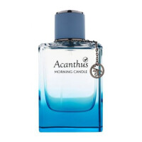 Morning Candle-آکانتوس مرنینگ کندل