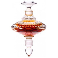 Mr. H-هانری ژاک مستر اچ