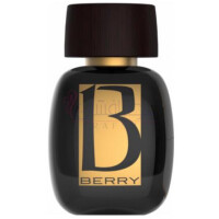 Mystique-میسون دی پارفوم بری میستیک