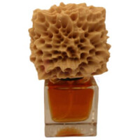 Natural History-فرونما پرفیومز نچرال هیستوری