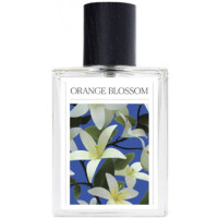 Orange Blossom-د سون ورچوز اورنج بلوسوم