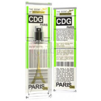 Paris CDG-د سنت اف دیپارچر پاریس سی دی جی