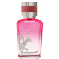 beverly hills polo club heritage oud