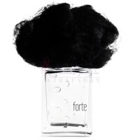 Pioggia Forte-فیلیپو سورچینلی پیوجیا فورته