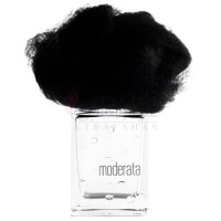 Pioggia Moderata-فیلیپو سورچینلی پیوجیا مدرتا