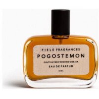 Pogostemon-فیله فرگرنسز پوگوستمون