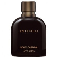 Pour Homme Intenso-دولچه گابانا پورهوم اینتنسو (دولچی گبانا پور هم اینتنس)