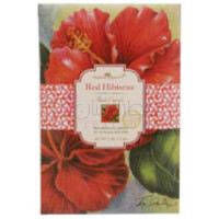 Red Hibiscus-الوها بیوتی رد هیبیسکوس