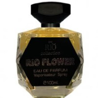 Rio Flower-ریو فلاور