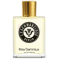 Rosa Centifolia-جی اف شوارزلوس برلين رزا سنتیفولیا