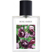 Rose Amber-د سون ورچوز رز امبر