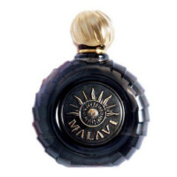 Round Noir Edp-ملاوی راند نویر