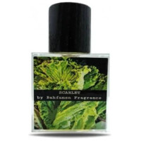 Scarlet-بهفامسن فرگرنس اسکارلت
