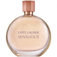 Sensuous-استی لودر سنسوس