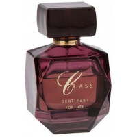 Sentiment-کلس سنتیمنت