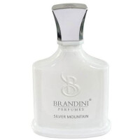 Silver Montain Eau De Perfume BRANDINI-سیلور مونتین مردانه برندینی