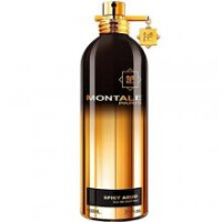 Spicy Aoud-مونتال اسپایسی آعود