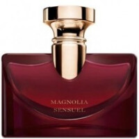 Splendida Magnolia Sensuel-بولگاری اسپلندیدا مگنولیا سنشوال