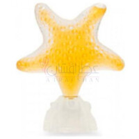 Star Los Cabos-سی جولز استار لوس کابوس