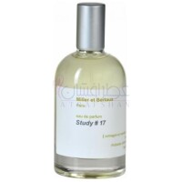 Study No. 17-میلر اِ بِرتو استادی نو 17