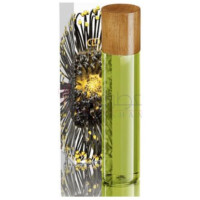 Taiga-دینا دکر تایگا