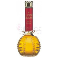 Tailspin-لوسین لیلانگ تیلسپین