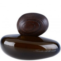 Tendre est la Nuit-ماجدا بکالی تندر است له نویت