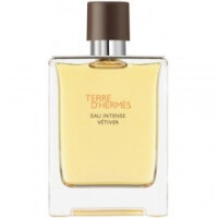 Terre D'Hermes Eau Intense Vetiver-هرمس تق هرمس او اینتنس وتیور