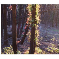 The Gamekeeper-بود پارفومز د گیم کیپر