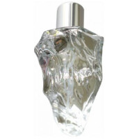 Them-نياندرتال دم